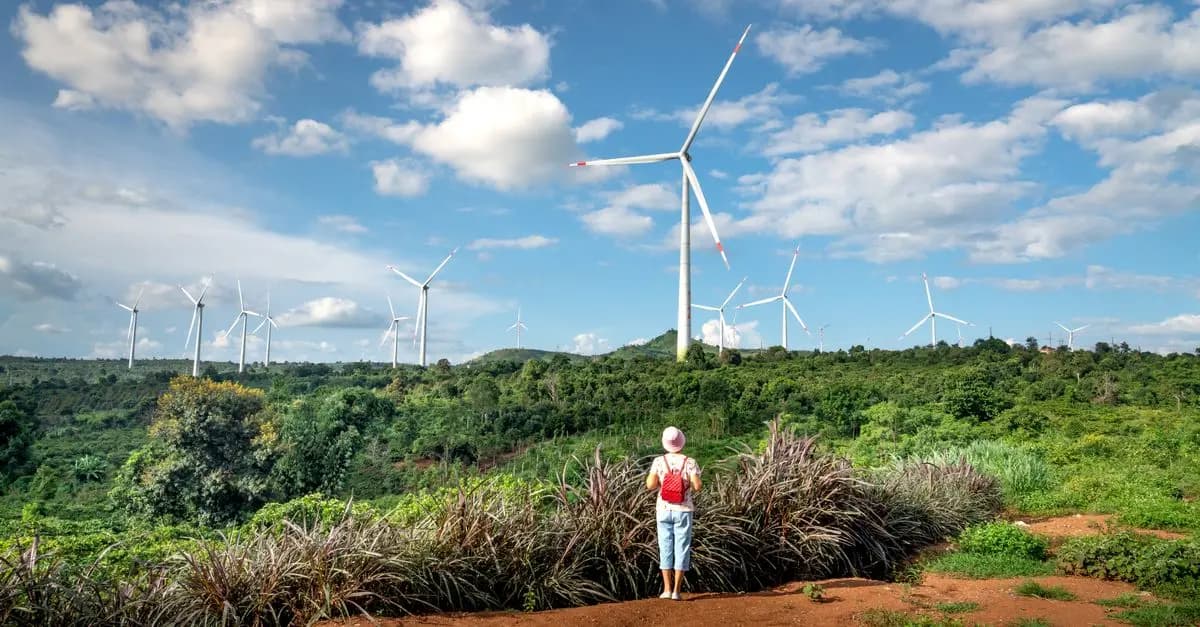 AI e sostenibilità: come l'intelligenza artificiale aiuta l'ambiente